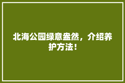 北海公园绿意盎然，介绍养护方法！