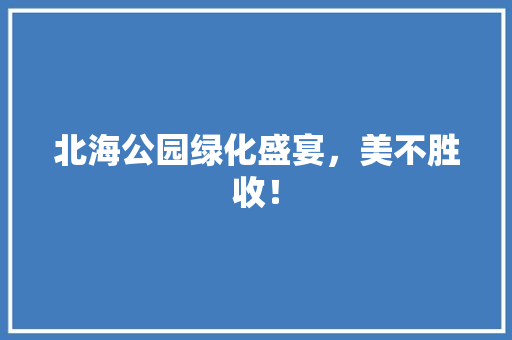 北海公园绿化盛宴，美不胜收！