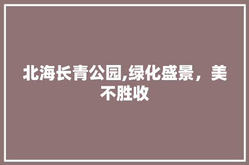 北海长青公园,绿化盛景，美不胜收