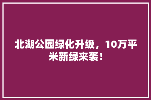北湖公园绿化升级，10万平米新绿来袭！