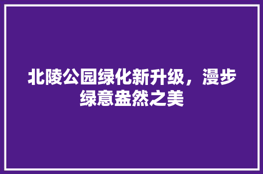 北陵公园绿化新升级，漫步绿意盎然之美