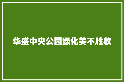 华盛中央公园绿化美不胜收
