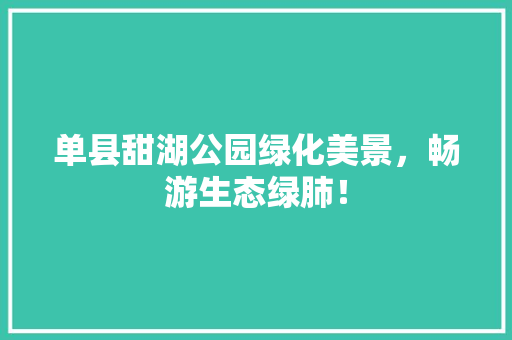 单县甜湖公园绿化美景，畅游生态绿肺！