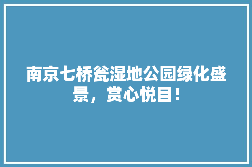 南京七桥瓮湿地公园绿化盛景，赏心悦目！