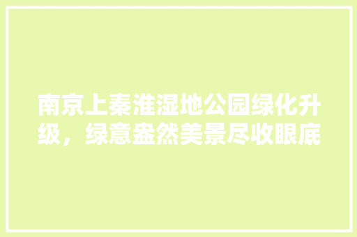 南京上秦淮湿地公园绿化升级，绿意盎然美景尽收眼底