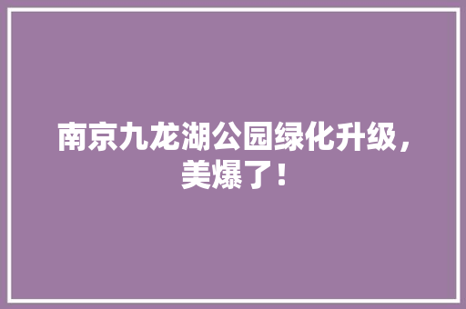 南京九龙湖公园绿化升级，美爆了！