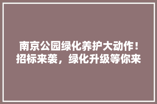 南京公园绿化养护大动作！招标来袭，绿化升级等你来！
