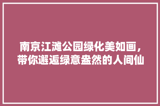 南京江滩公园绿化美如画，带你邂逅绿意盎然的人间仙境