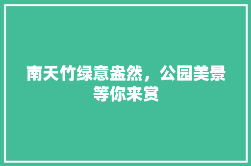南天竹绿意盎然，公园美景等你来赏