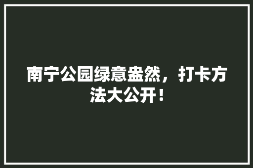 南宁公园绿意盎然，打卡方法大公开！