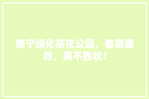 南宁绿化茶花公园，春意盎然，美不胜收！