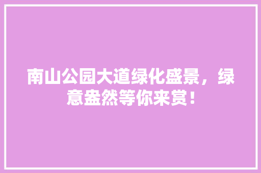 南山公园大道绿化盛景，绿意盎然等你来赏！