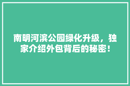 南明河滨公园绿化升级，独家介绍外包背后的秘密！