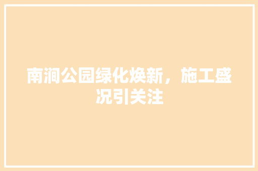 南涧公园绿化焕新，施工盛况引关注
