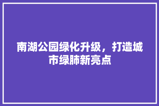 南湖公园绿化升级，打造城市绿肺新亮点 蔬菜育苗