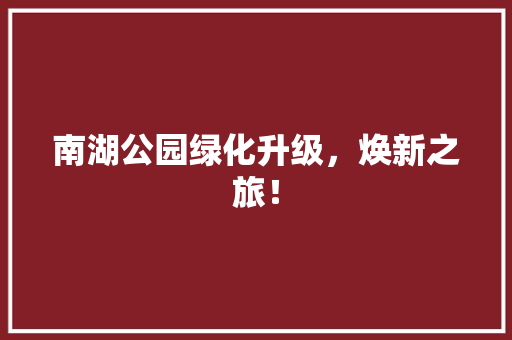 南湖公园绿化升级，焕新之旅！