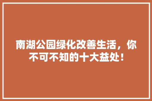 南湖公园绿化改善生活，你不可不知的十大益处！