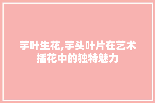 芋叶生花,芋头叶片在艺术插花中的独特魅力 蔬菜育苗