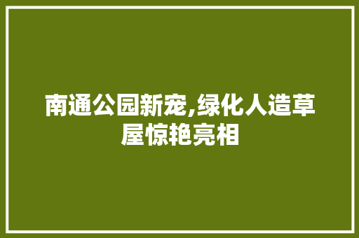 南通公园新宠,绿化人造草屋惊艳亮相
