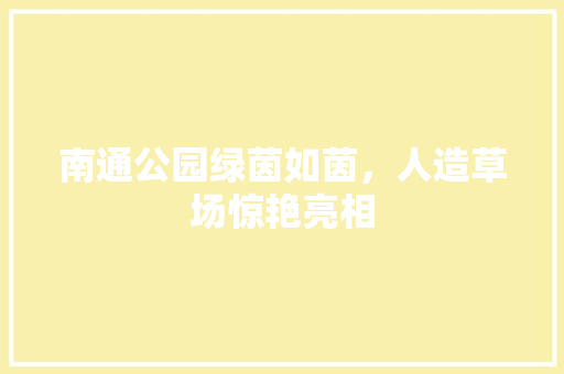 南通公园绿茵如茵，人造草场惊艳亮相
