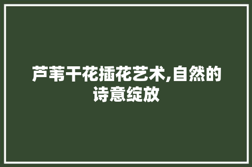 芦苇干花插花艺术,自然的诗意绽放