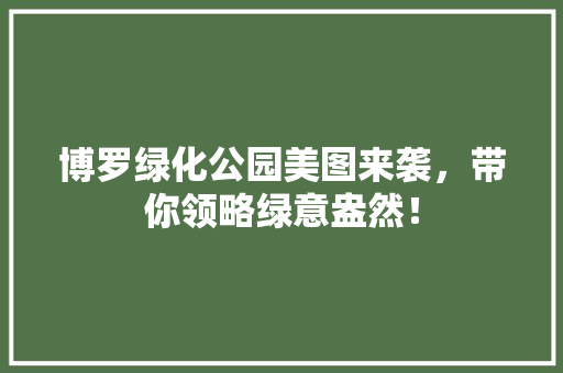 博罗绿化公园美图来袭，带你领略绿意盎然！