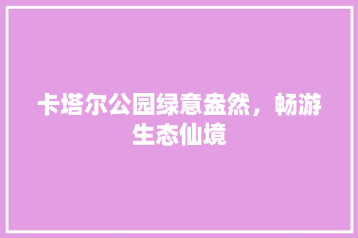 卡塔尔公园绿意盎然，畅游生态仙境