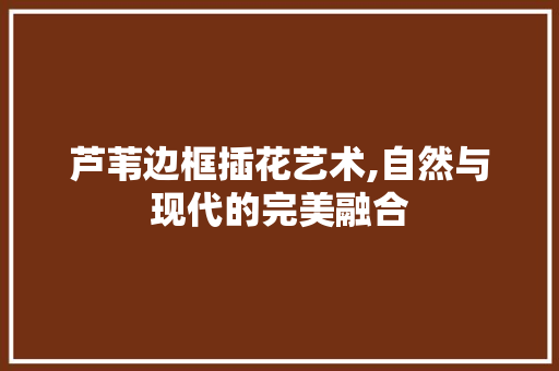 芦苇边框插花艺术,自然与现代的完美融合 无土育苗