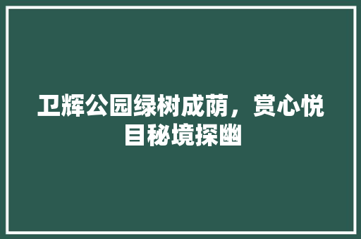 卫辉公园绿树成荫，赏心悦目秘境探幽