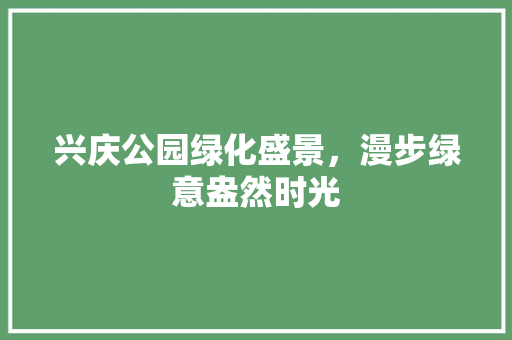 兴庆公园绿化盛景，漫步绿意盎然时光