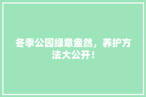 冬季公园绿意盎然，养护方法大公开！
