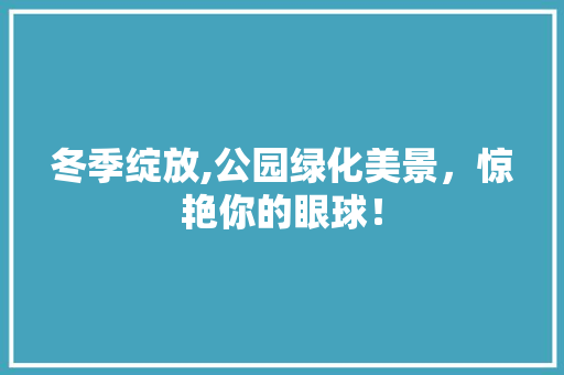 冬季绽放,公园绿化美景，惊艳你的眼球！
