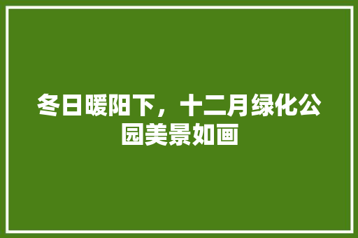 冬日暖阳下，十二月绿化公园美景如画