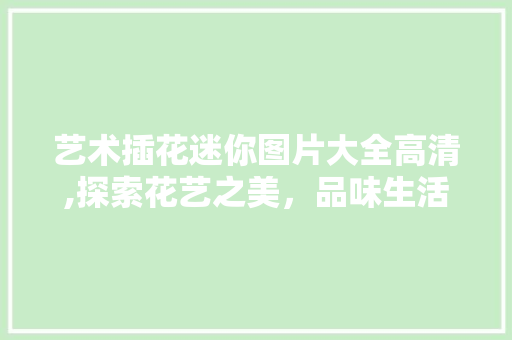 艺术插花迷你图片大全高清,探索花艺之美，品味生活雅韵 花卉育苗