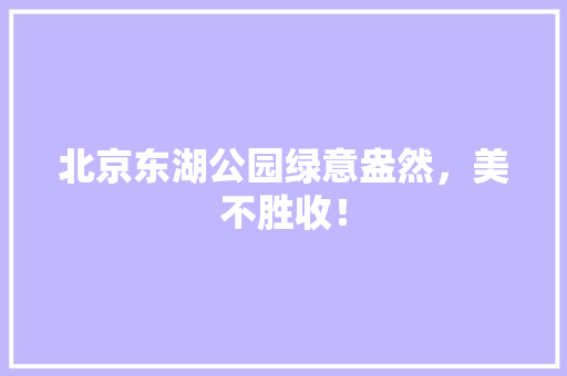 北京东湖公园绿意盎然，美不胜收！