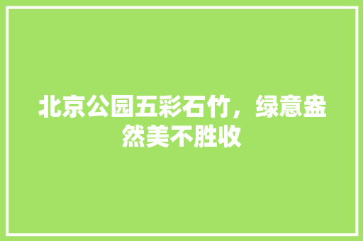 北京公园五彩石竹，绿意盎然美不胜收