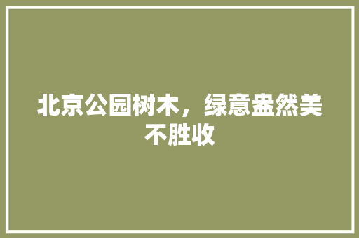 北京公园树木，绿意盎然美不胜收
