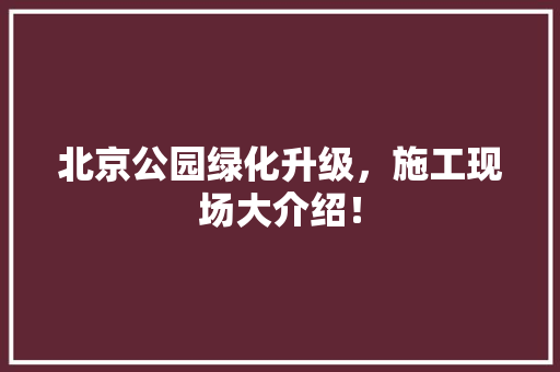 北京公园绿化升级，施工现场大介绍！