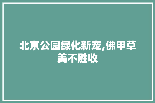北京公园绿化新宠,佛甲草美不胜收