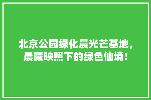 北京公园绿化晨光芒基地，晨曦映照下的绿色仙境！