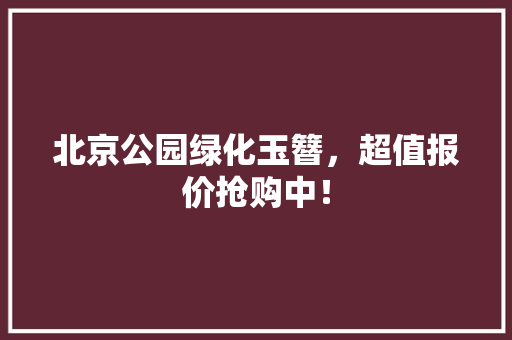 北京公园绿化玉簪，超值报价抢购中！
