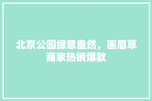北京公园绿意盎然，画眉草商家热销爆款
