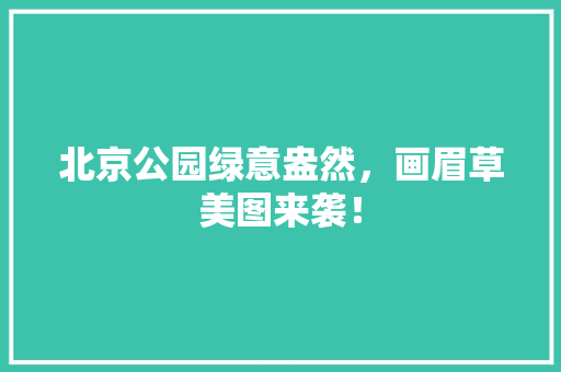 北京公园绿意盎然，画眉草美图来袭！