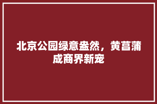 北京公园绿意盎然，黄菖蒲成商界新宠
