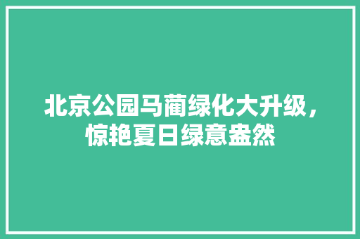 北京公园马蔺绿化大升级，惊艳夏日绿意盎然