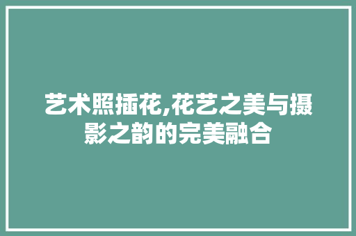 艺术照插花,花艺之美与摄影之韵的完美融合 林木育苗