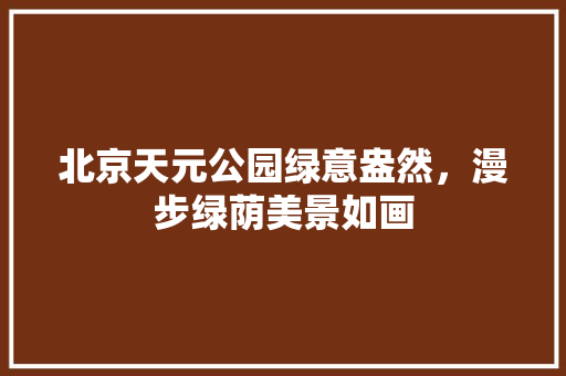 北京天元公园绿意盎然，漫步绿荫美景如画
