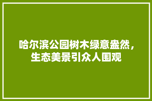 哈尔滨公园树木绿意盎然，生态美景引众人围观
