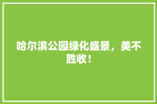 哈尔滨公园绿化盛景，美不胜收！