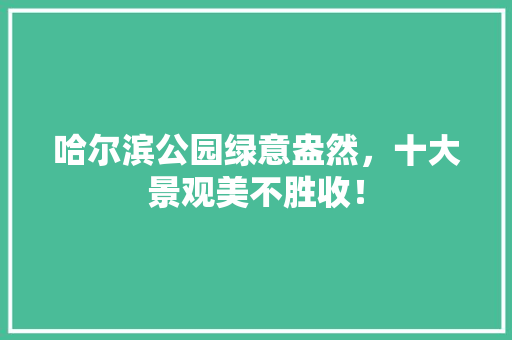 哈尔滨公园绿意盎然，十大景观美不胜收！